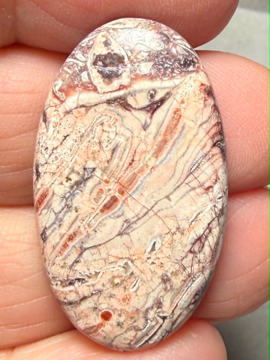 Oval 33x19mm Birds Eye Jasper Cabochon 47