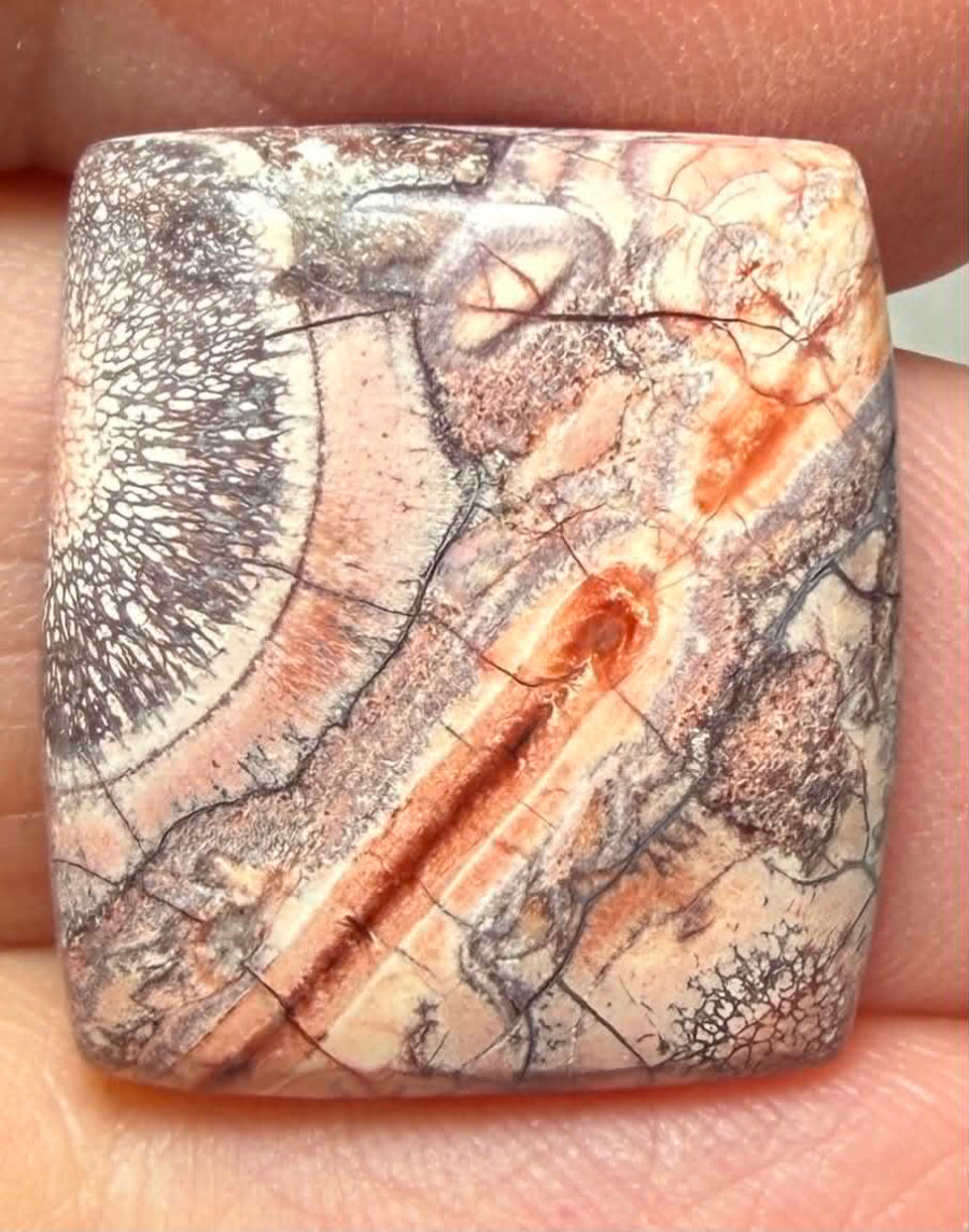 Rectangle 20x18mm Birds Eye Jasper Cabochon 49