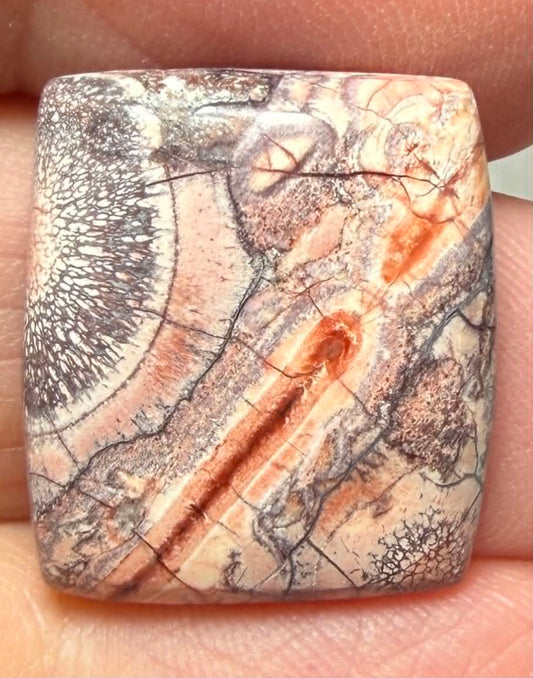 Rectangle 20x18mm Birds Eye Jasper Cabochon 49