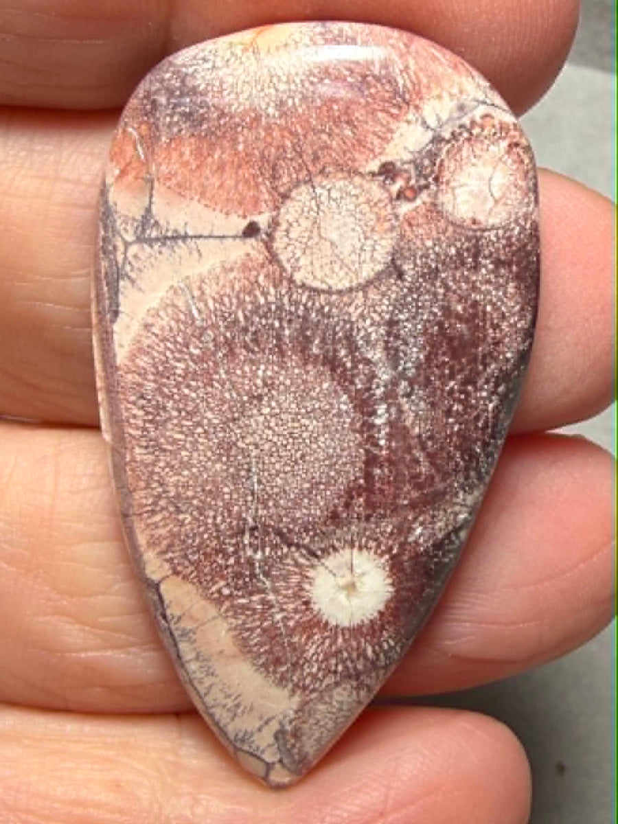 Teardrop 45x25mm Birds Eye Jasper Cabochon 52