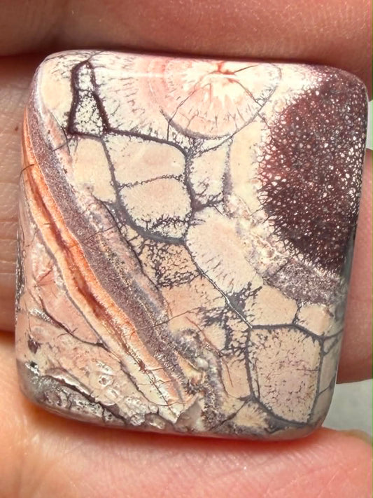 Rectangle 24x21mm Birds Eye Jasper Cabochon 55