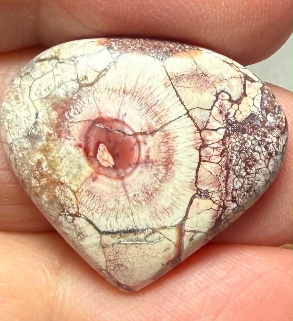 Teardrop 22x25mm Birds Eye Jasper Cabochon 57