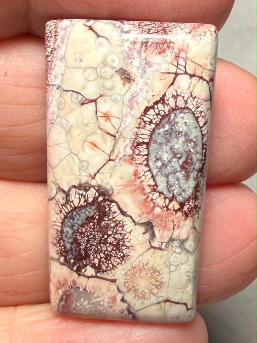 Freeform 33x18mm Birds Eye Jasper Cabochon 58