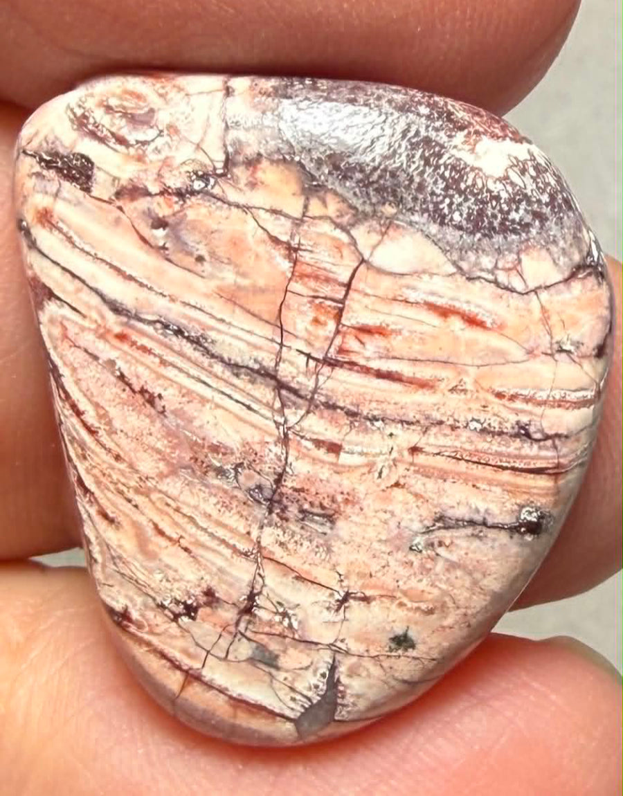 Freeform 25x21mm Birds Eye Jasper Cabochon 59