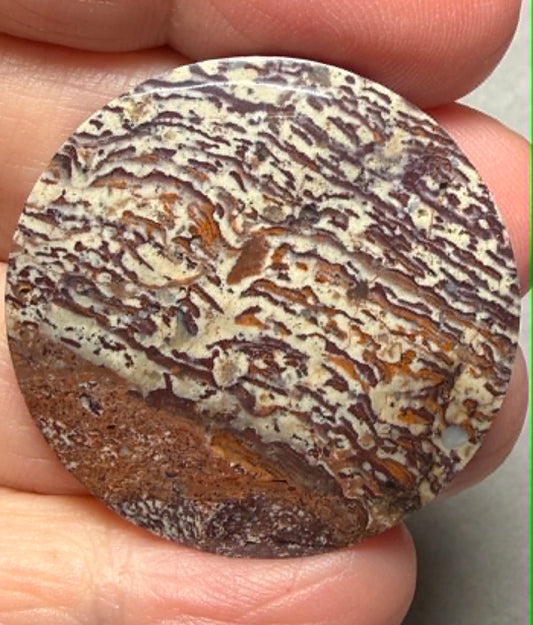 Round 34x34mm Finger Print Jasper Cabochon 23