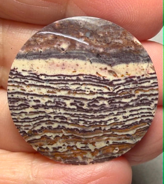 Round 32x32mm Finger Print Jasper Cabochon 25