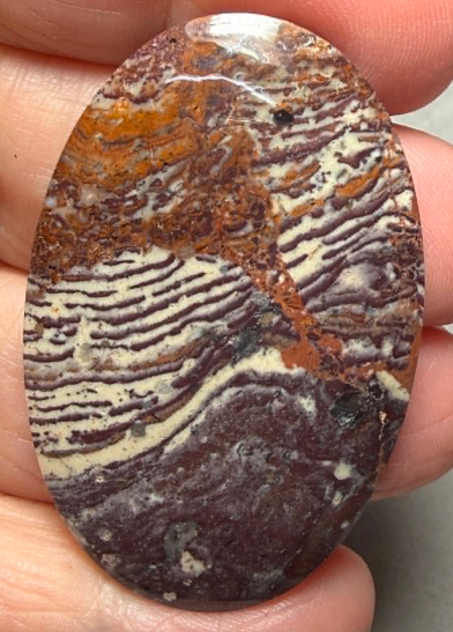 Oval 45x29mm Finger Print Jasper Cabochon 29