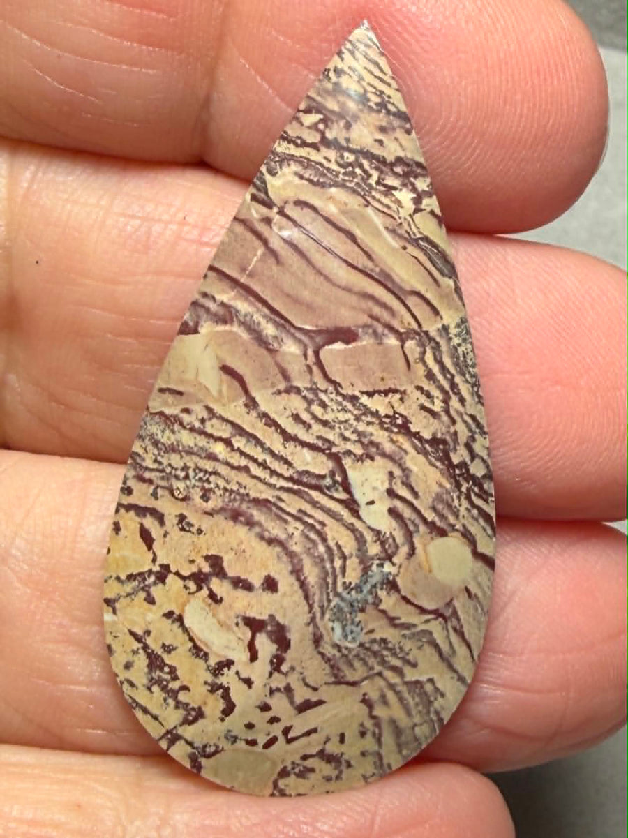 Teardrop 44x22mm Finger Print Jasper Cabochon 31