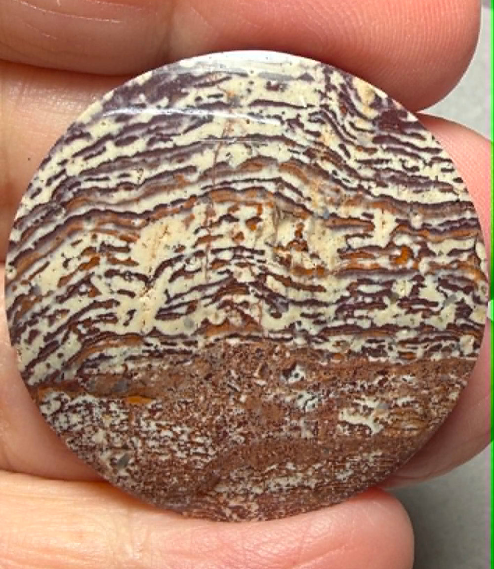 Round 35x35mm Finger Print Jasper Cabochon 37