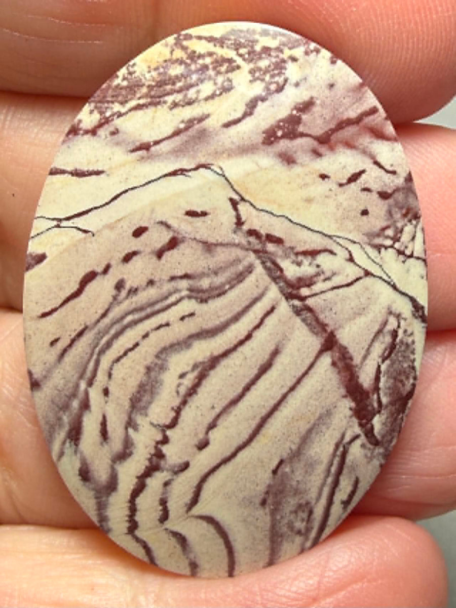 Oval 39x28mm Finger Print Jasper Cabochon 40