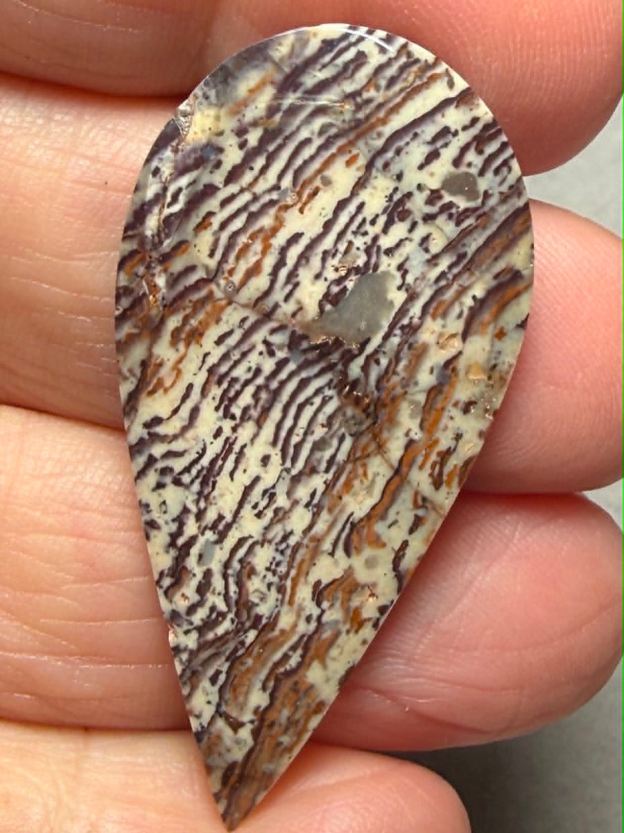 Teardrop 43x21mm Finger Print Jasper Cabochon 43