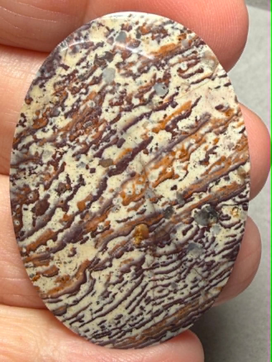 Oval 44x31mm Finger Print Jasper Cabochon 45