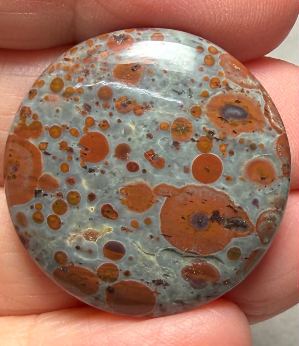 Round 28x28mm Asteroid Jasper Cabochon 23