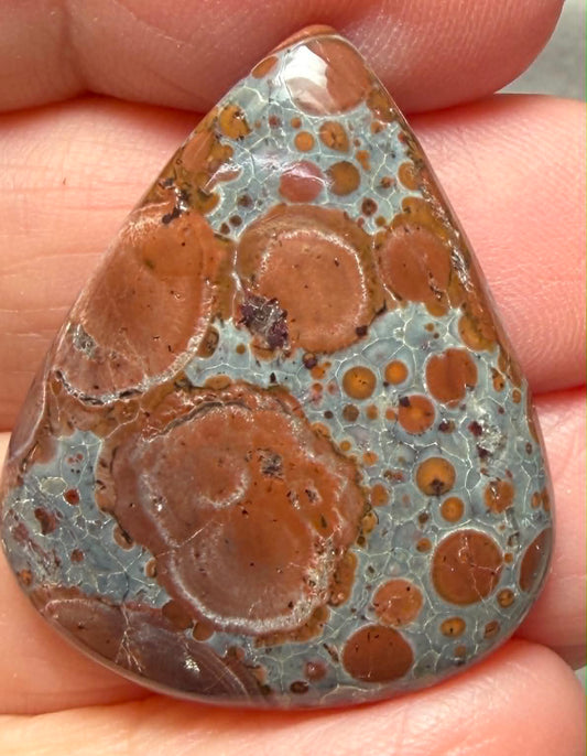 Teardrop 33x27mm Asteroid Jasper Cabochon 24