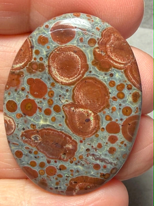 Oval 38x28mm Asteroid Jasper Cabochon 25