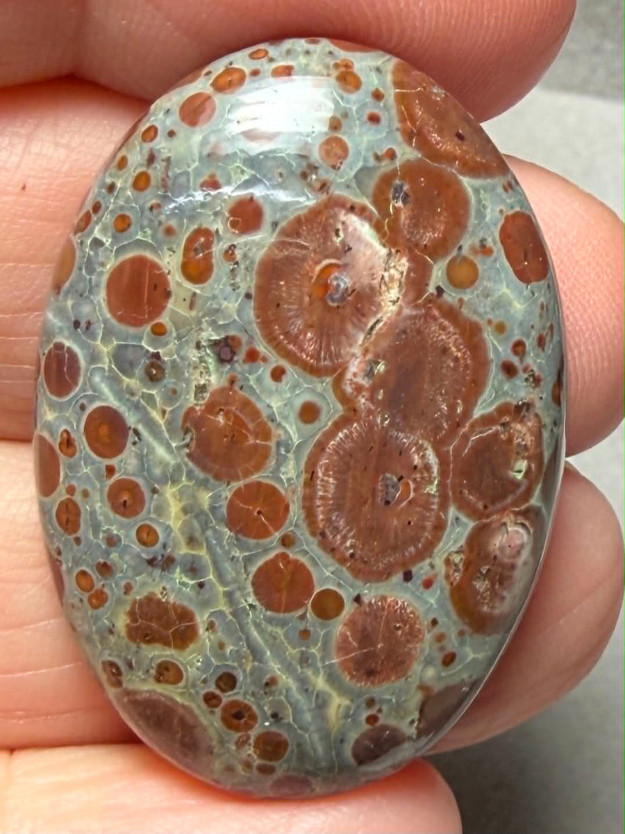 Oval 35x25mm Asteroid Jasper Cabochon 27