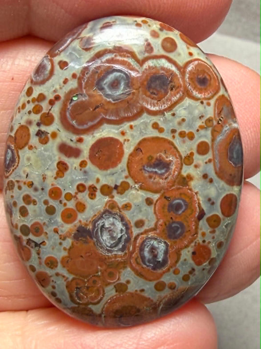 Oval 35x27mm Asteroid Jasper Cabochon 28