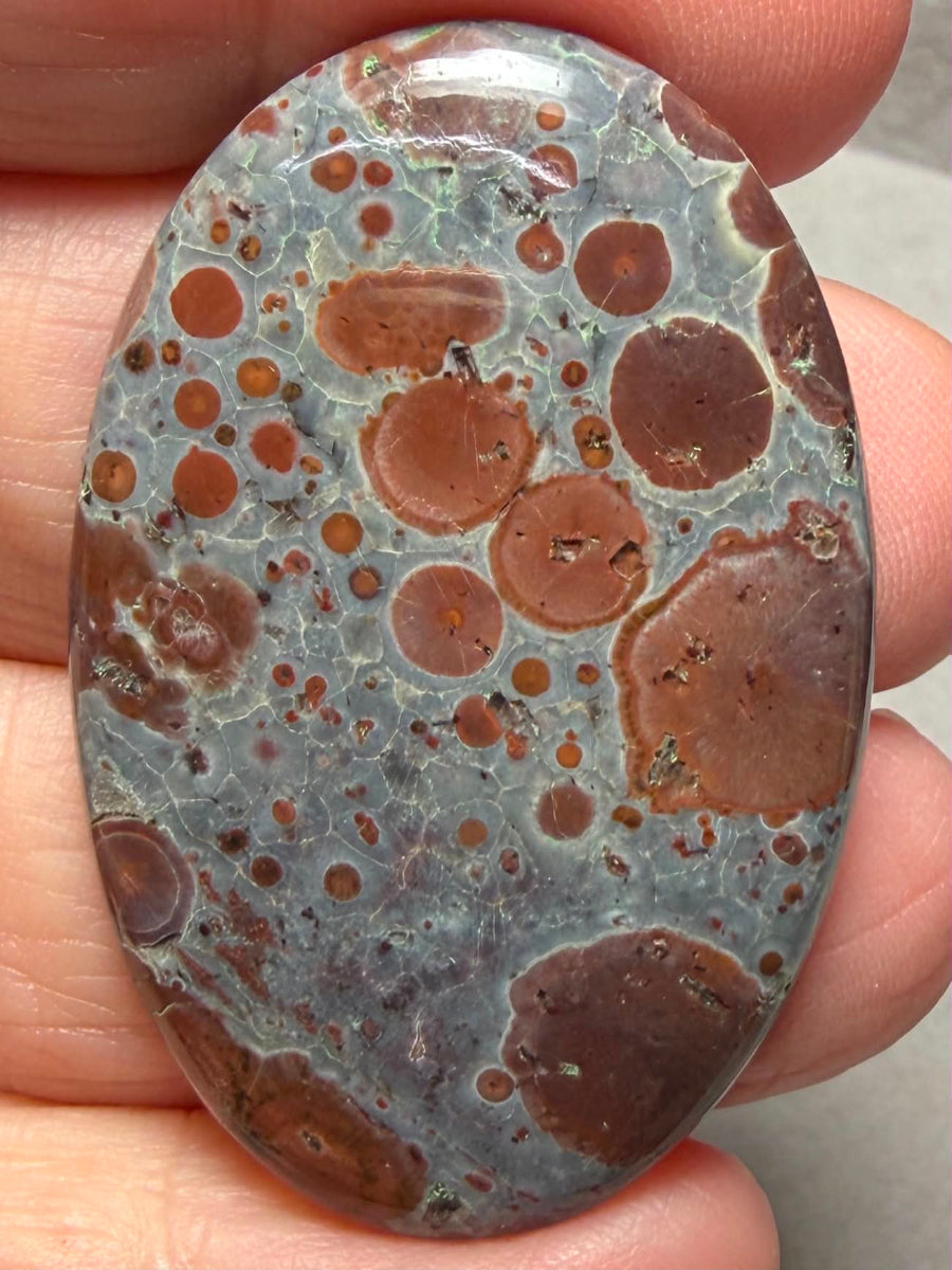 Oval 43x28mm Asteroid Jasper Cabochon 29