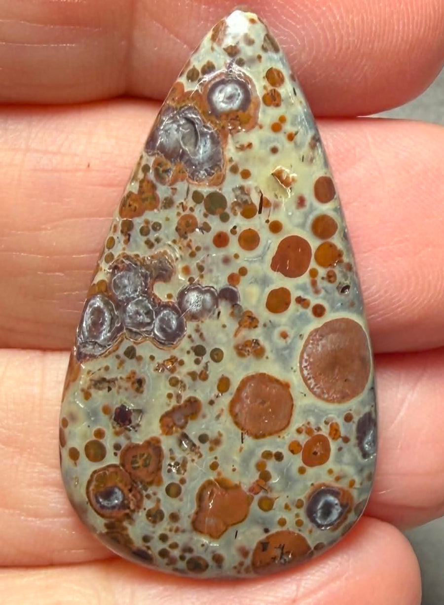 Teardrop 39x22mm Asteroid Jasper Cabochon 31