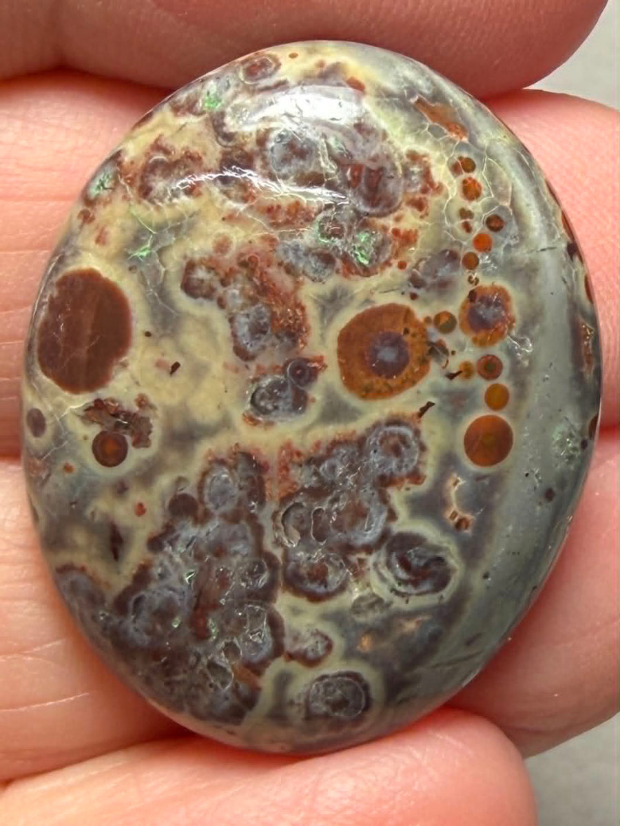 Oval 29x23mm Asteroid Jasper Cabochon 32