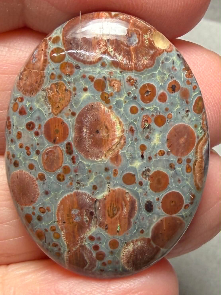 Oval 33x25mm Asteroid Jasper Cabochon 33