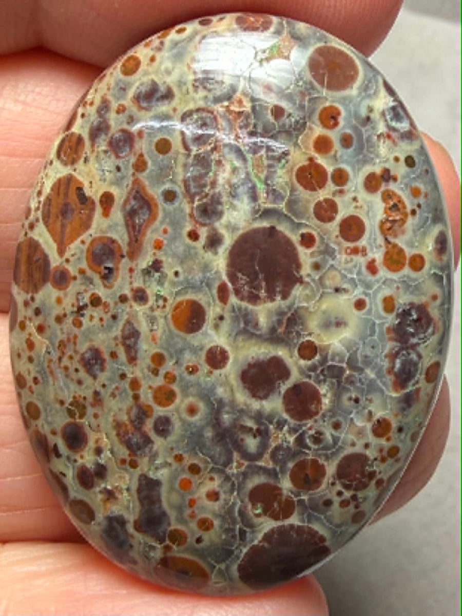 Oval 37x28mm Asteroid Jasper Cabochon 34