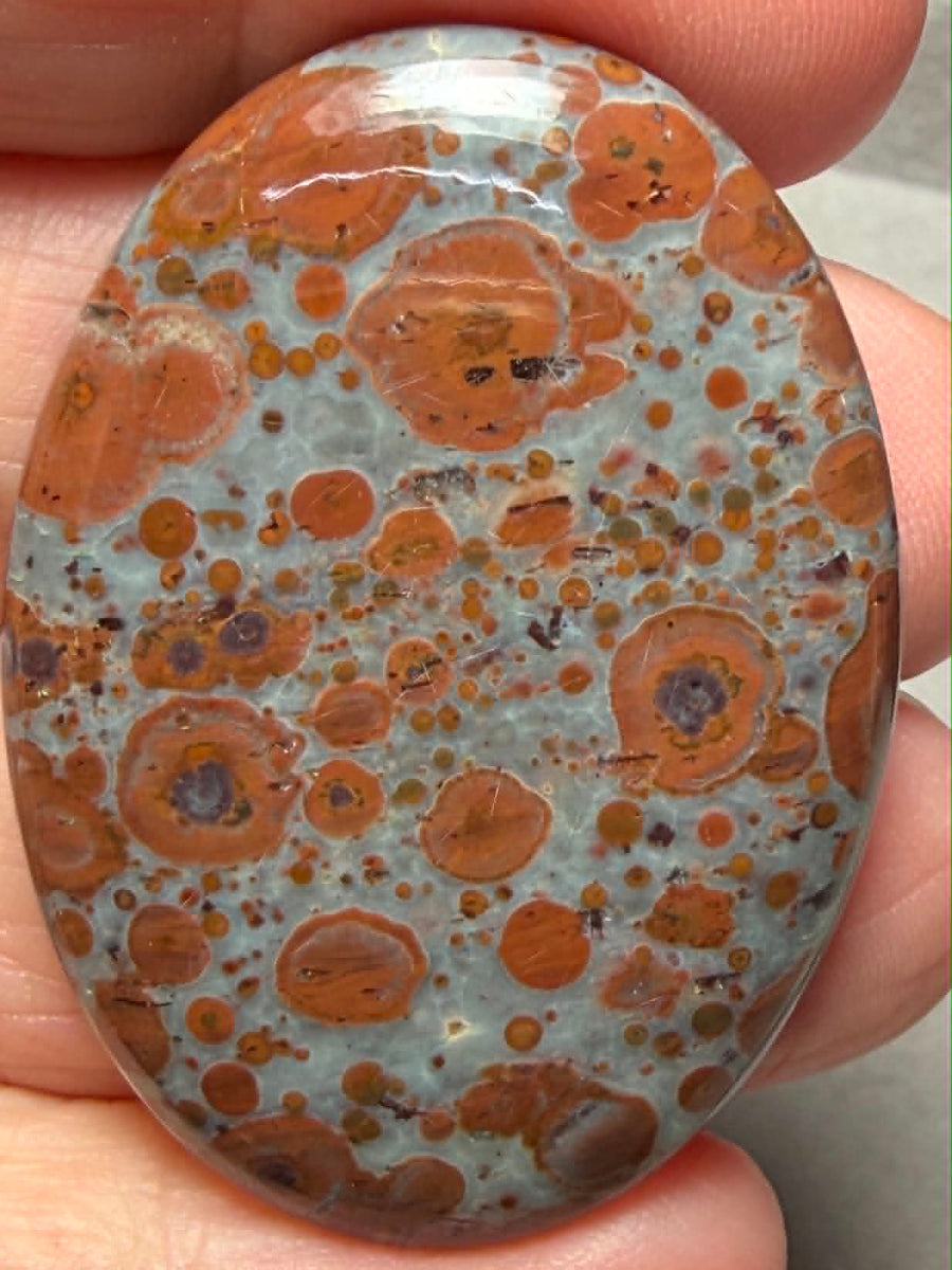 Oval 42x30mm Asteroid Jasper Cabochon 40