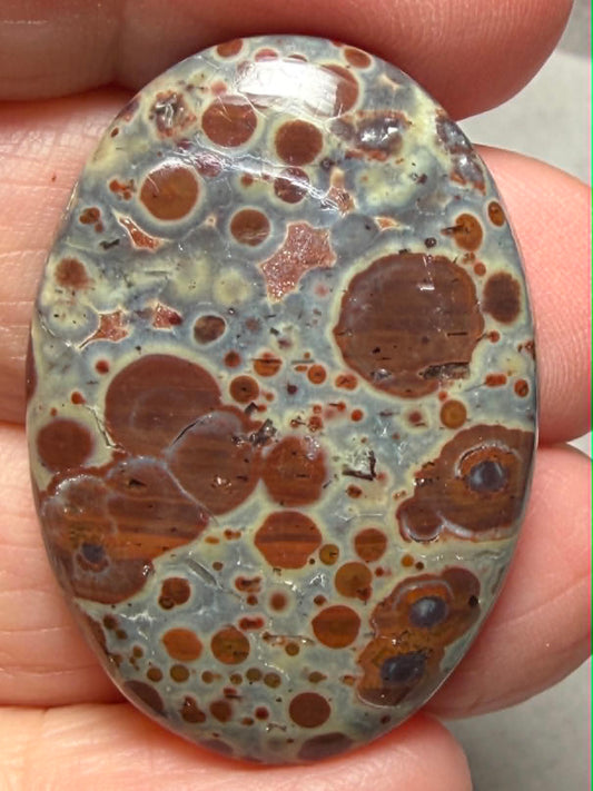 Oval 35x25mm Asteroid Jasper Cabochon 42