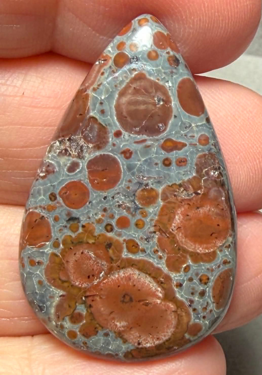 Teardrop 38x24mm Asteroid Jasper Cabochon 43