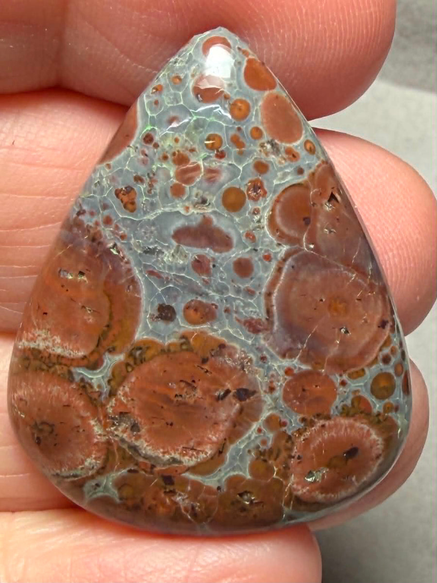 Teardrop 35x28mm Asteroid Jasper Cabochon 47