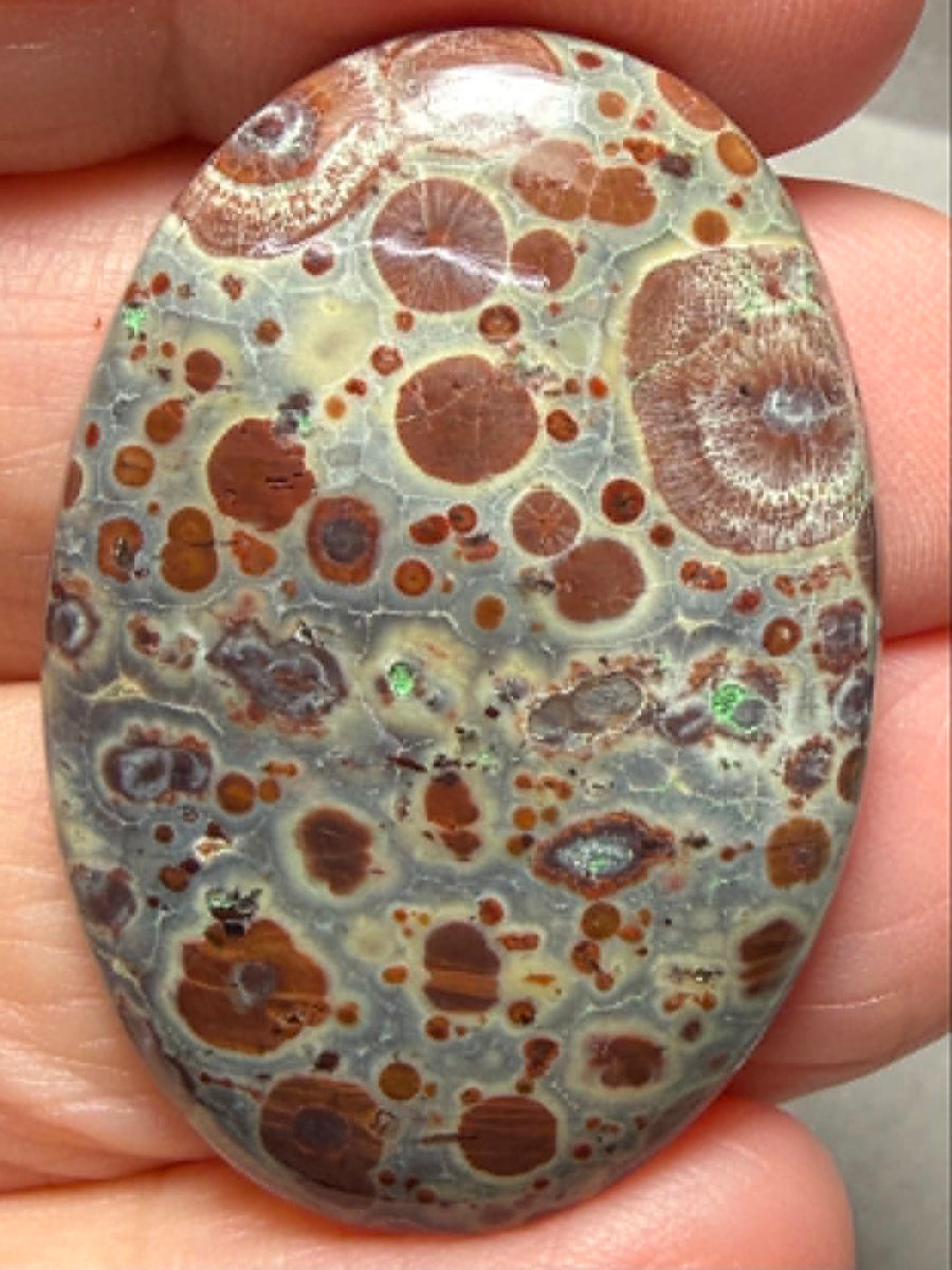 Oval 37x25mm Asteroid Jasper Cabochon 48