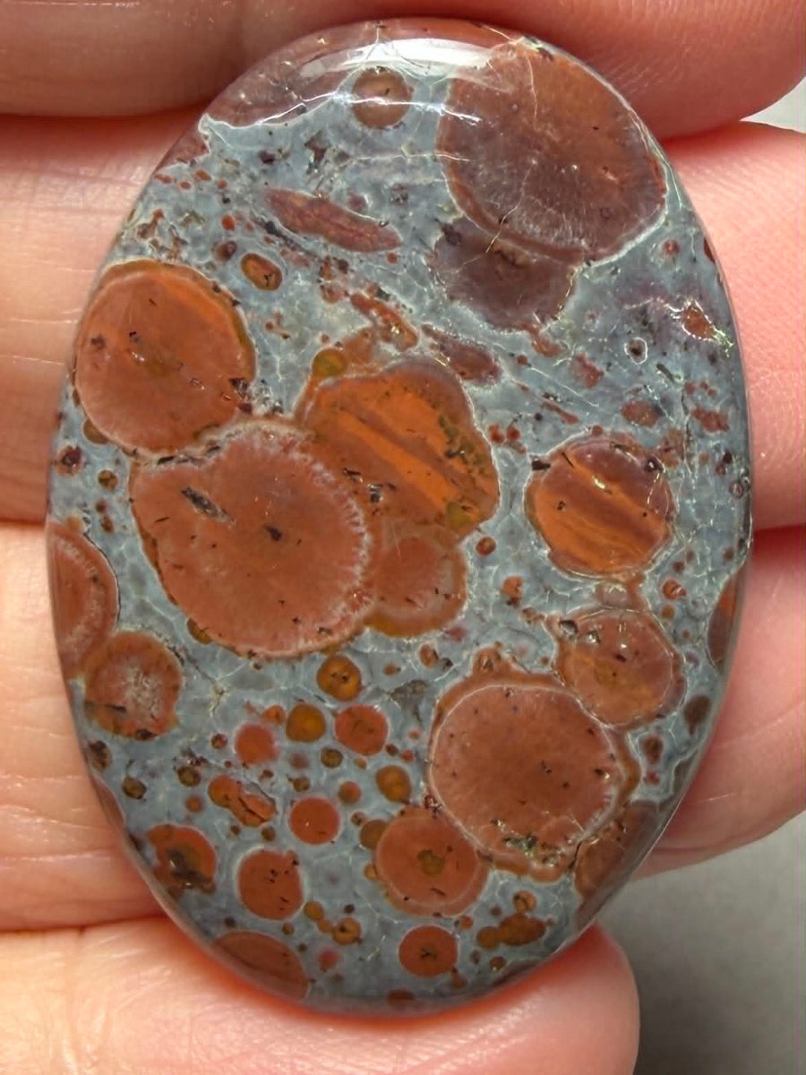 Oval 38x26mm Asteroid Jasper Cabochon 49