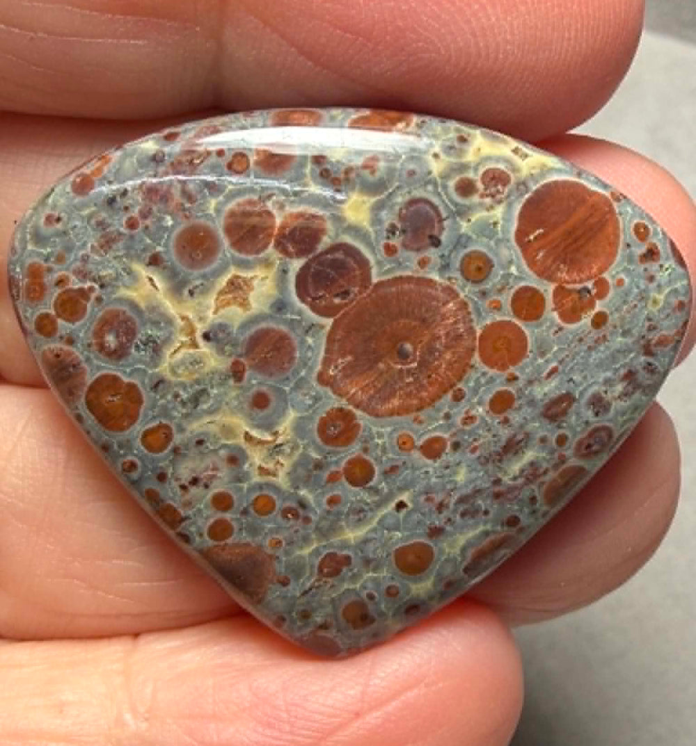 Teardrop 30x36mm Asteroid Jasper Cabochon 50