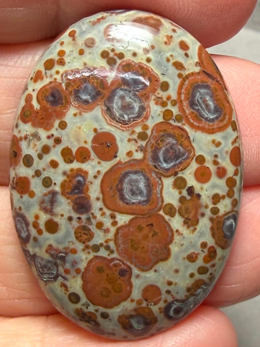 Oval 37x26mm Asteroid Jasper Cabochon 51