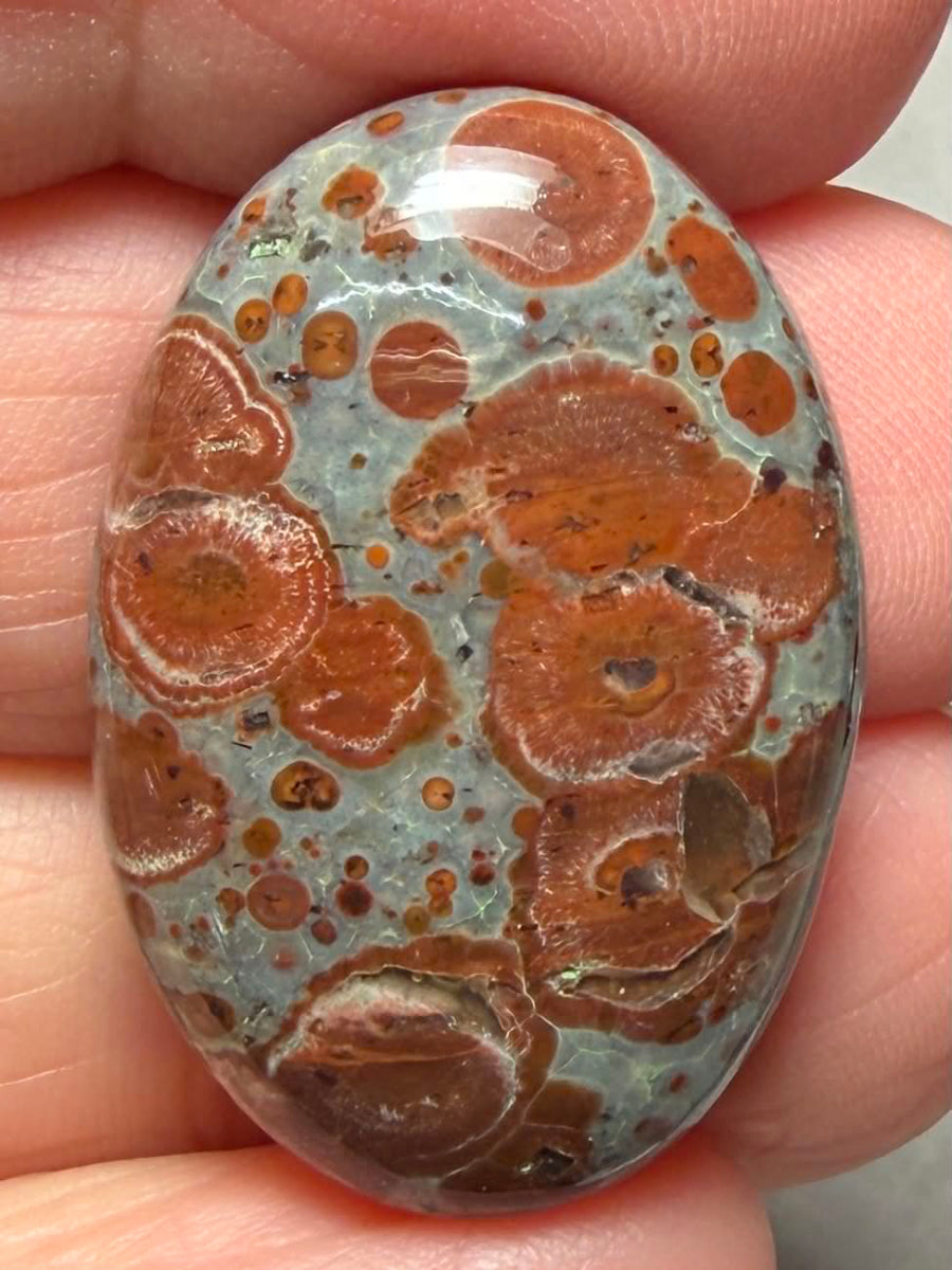 Oval 30x20mm Asteroid Jasper Cabochon 52