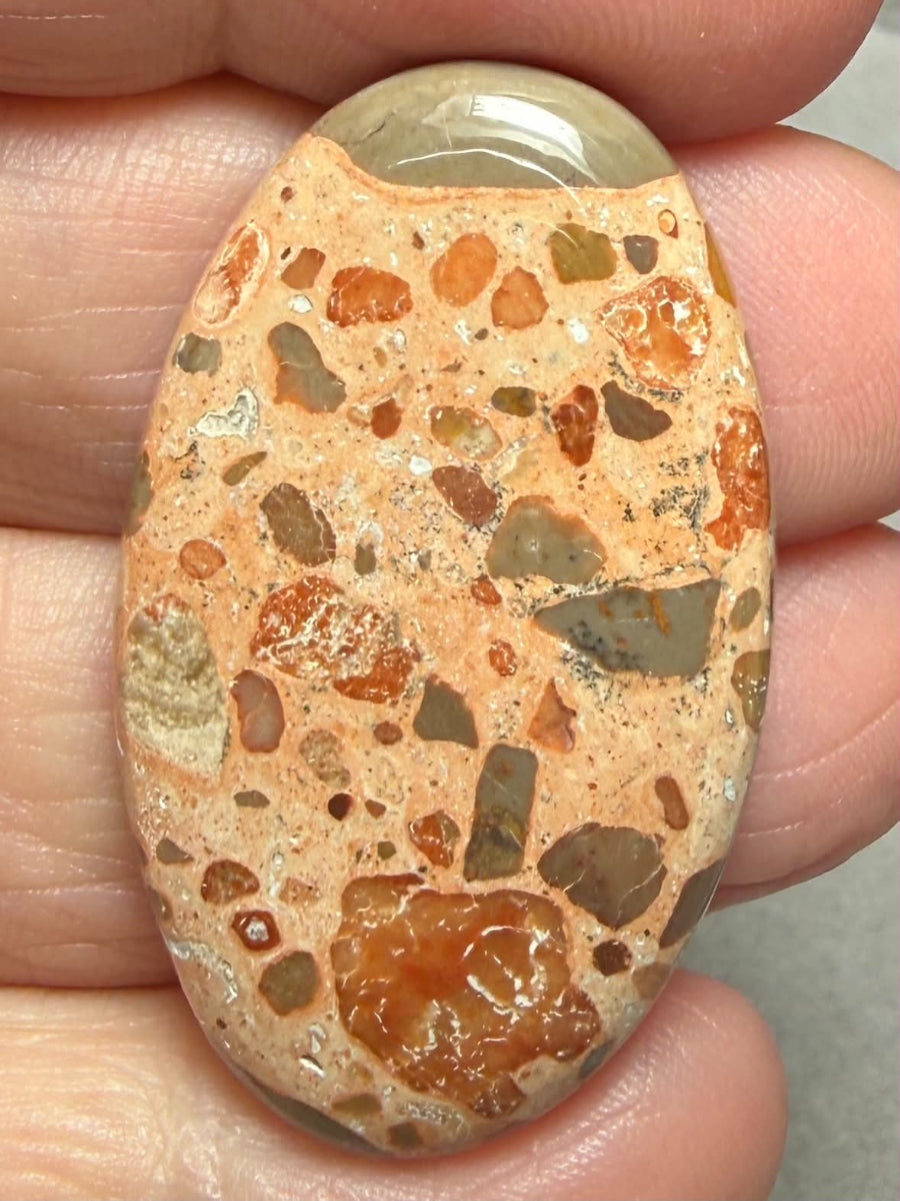 Oval 39x23mm Leopardite Jasper Cabochon 36