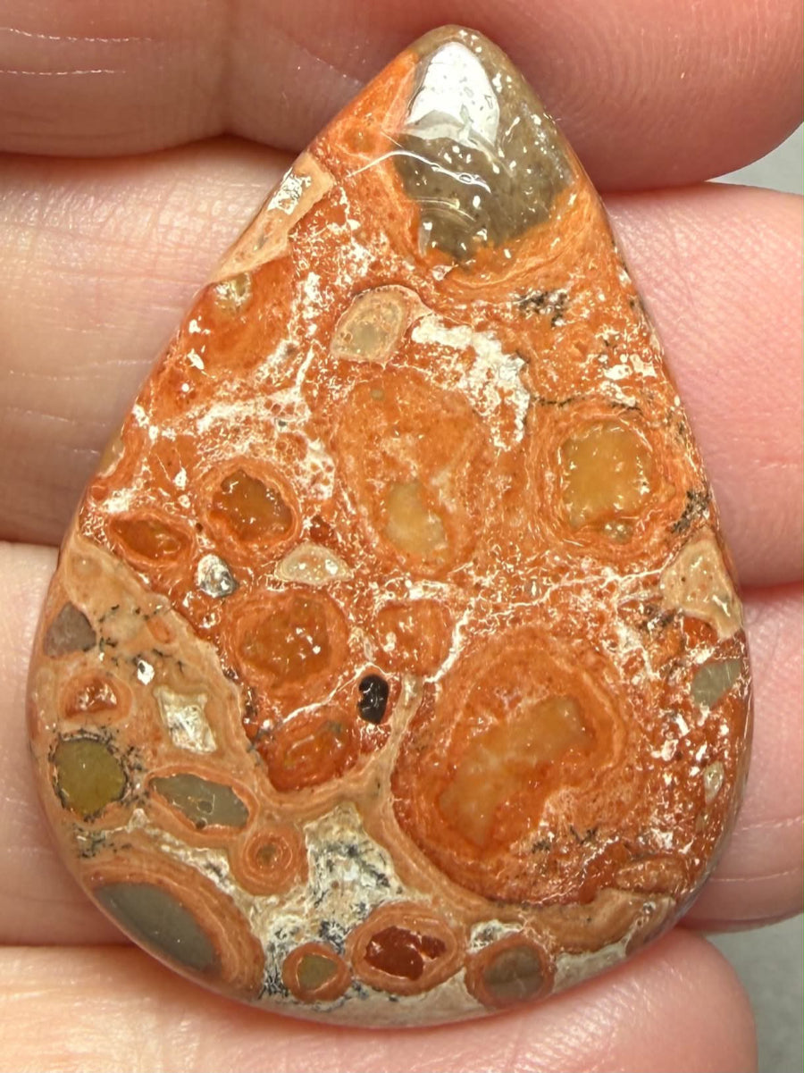 Teardrop 37x27mm Leopardite Jasper Cabochon 37