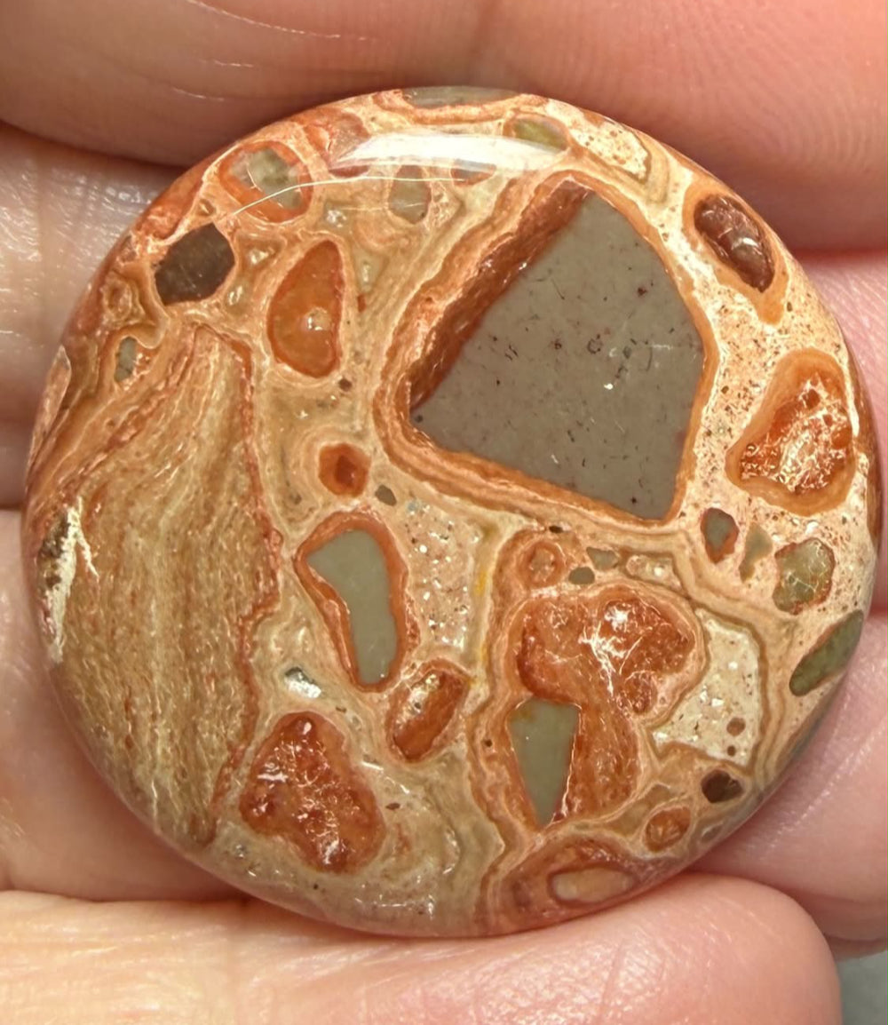 Round 31x31mm Leopardite Jasper Cabochon 43