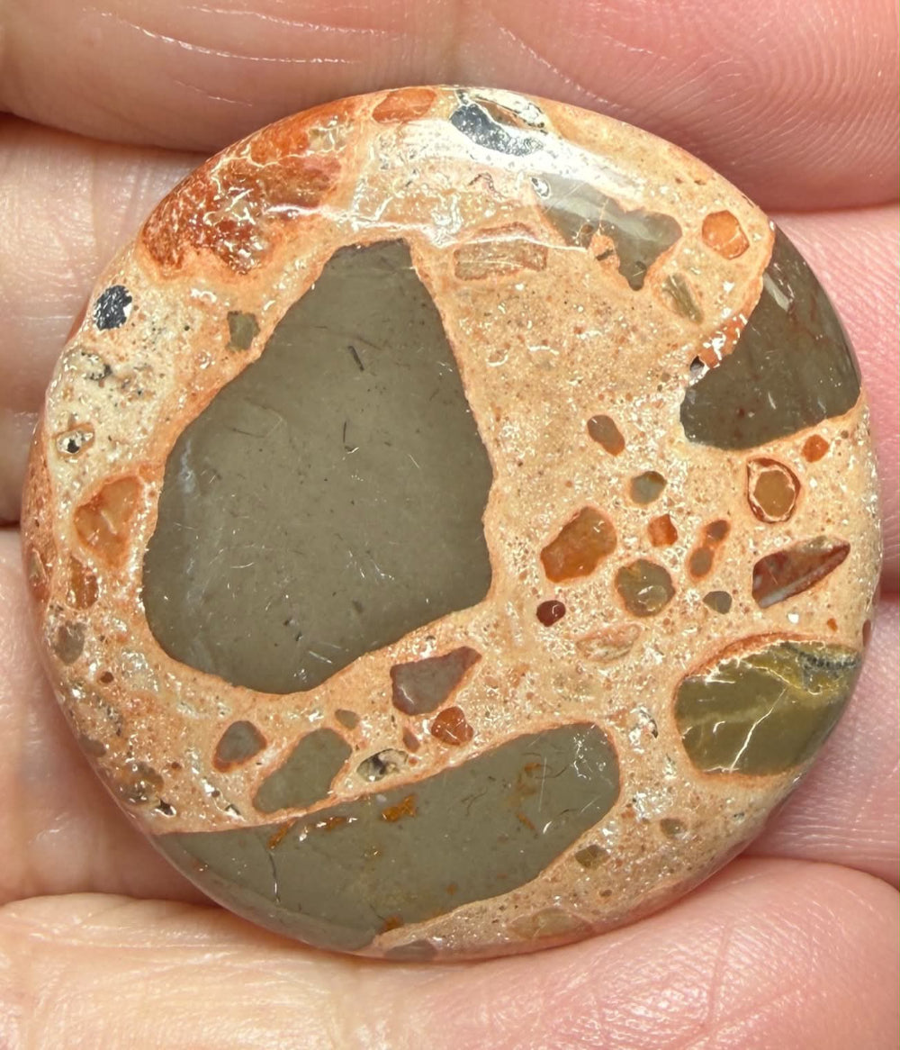 Round 33x33mm Leopardite Jasper Cabochon 49