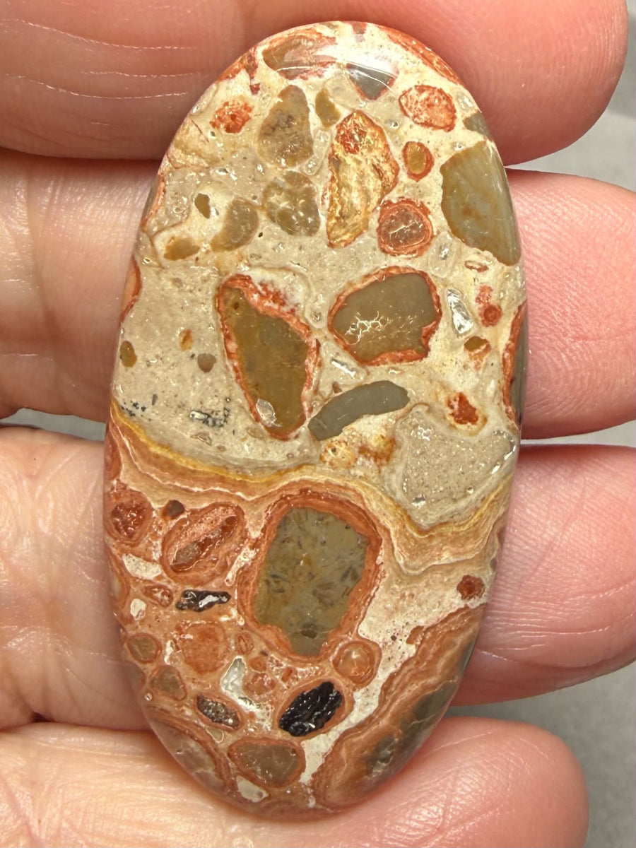 Oval 48x24mm Leopardite Jasper Cabochon 50