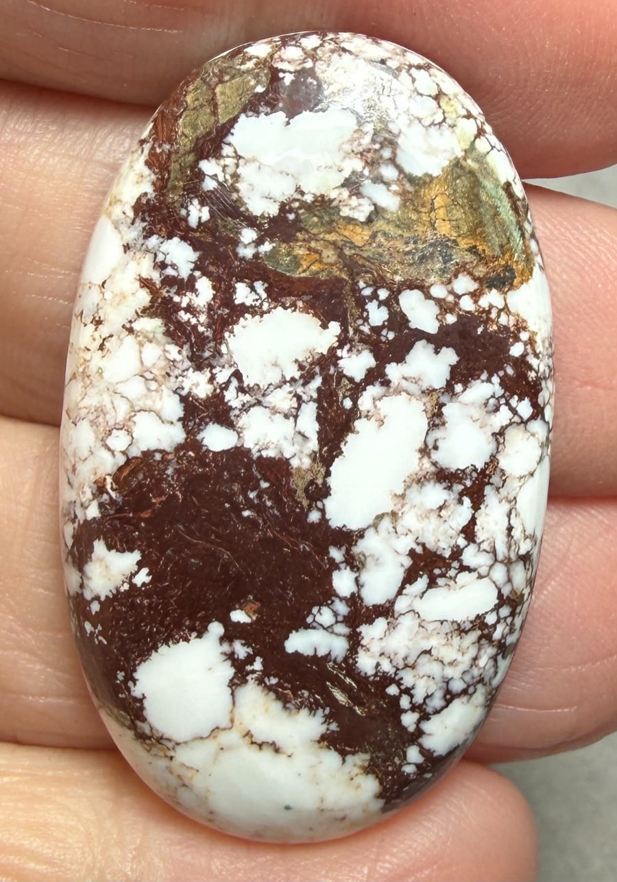 Oval 40x24mm Wild Horse Magnesite Cabochon 34