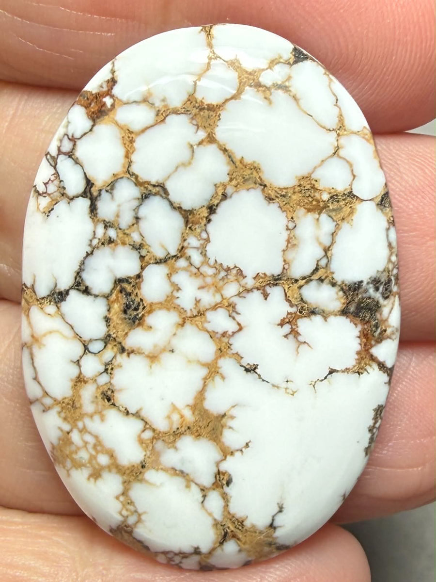 Oval 40x28mm Wild Horse Magnesite Cabochon 46