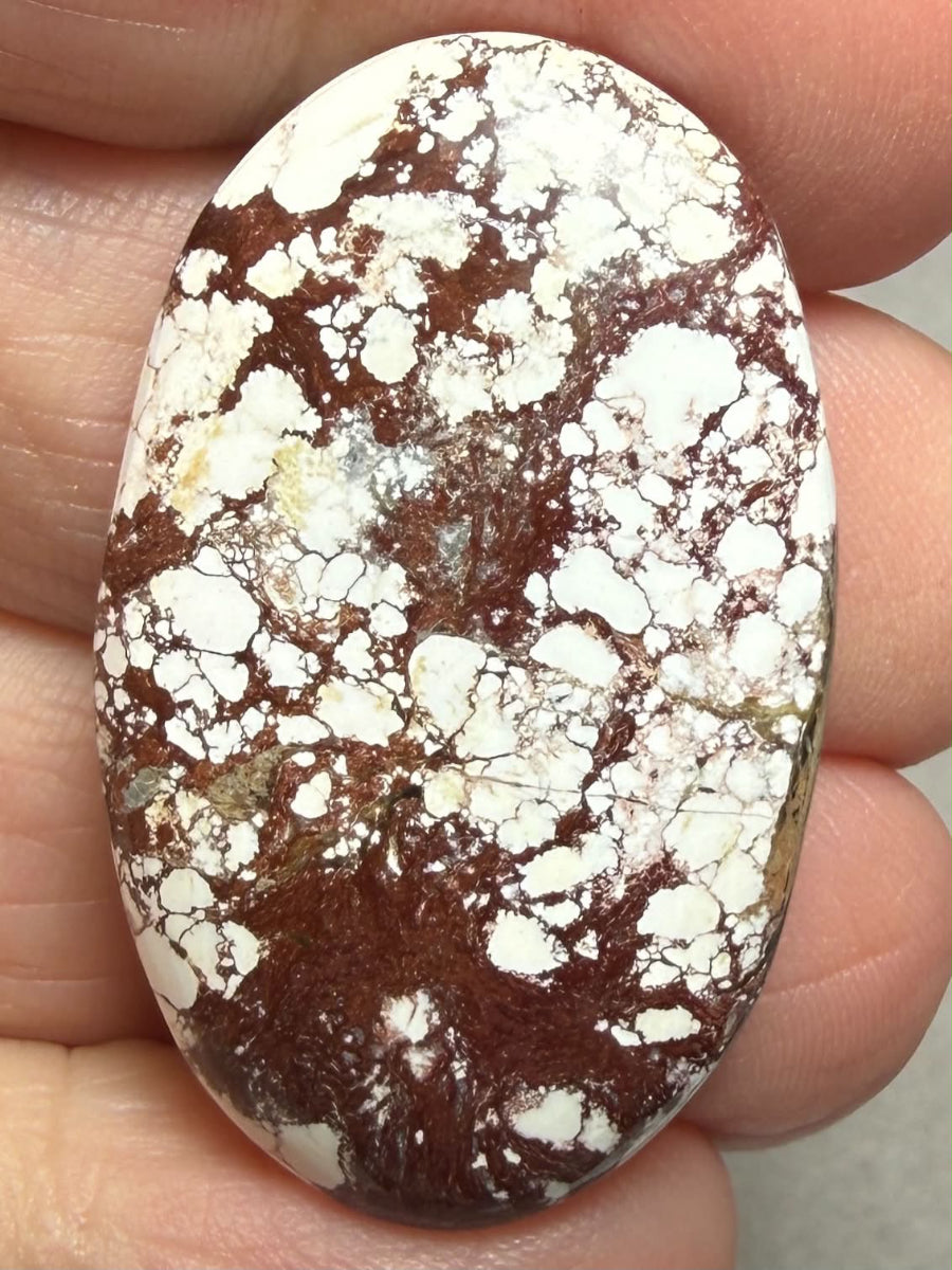 Oval 35x22mm Wild Horse Magnesite Cabochon 51
