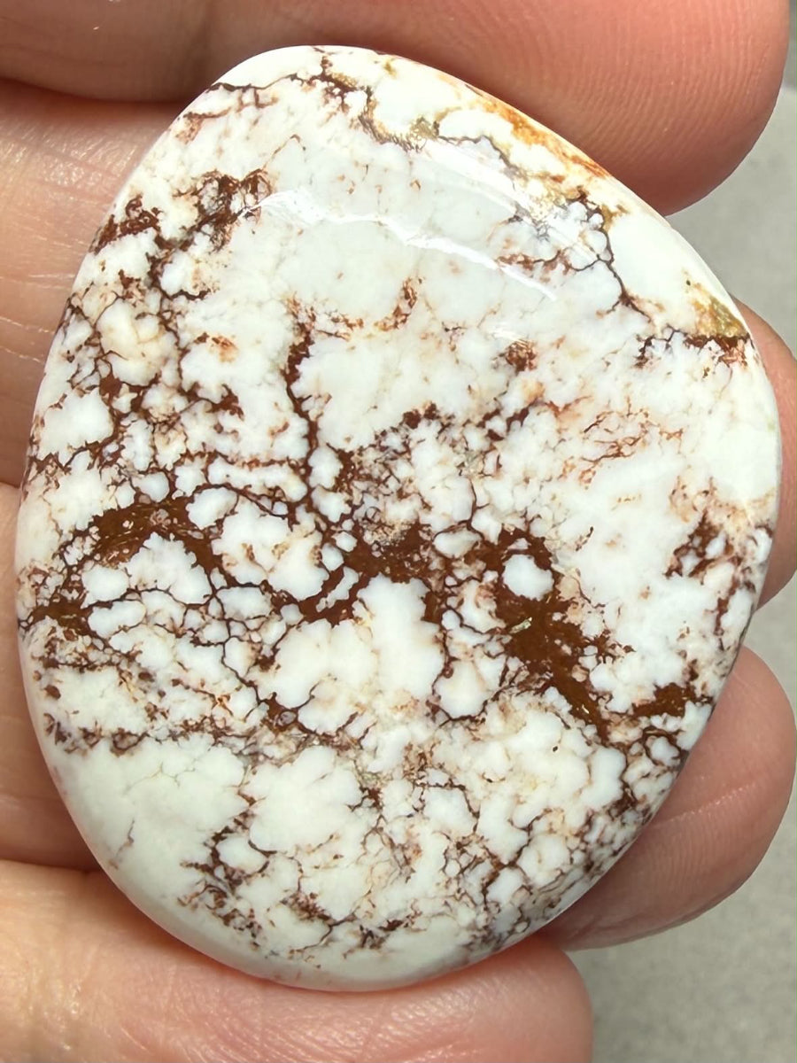 Freeform 38x31mm Wild Horse Magnesite Cabochon 53