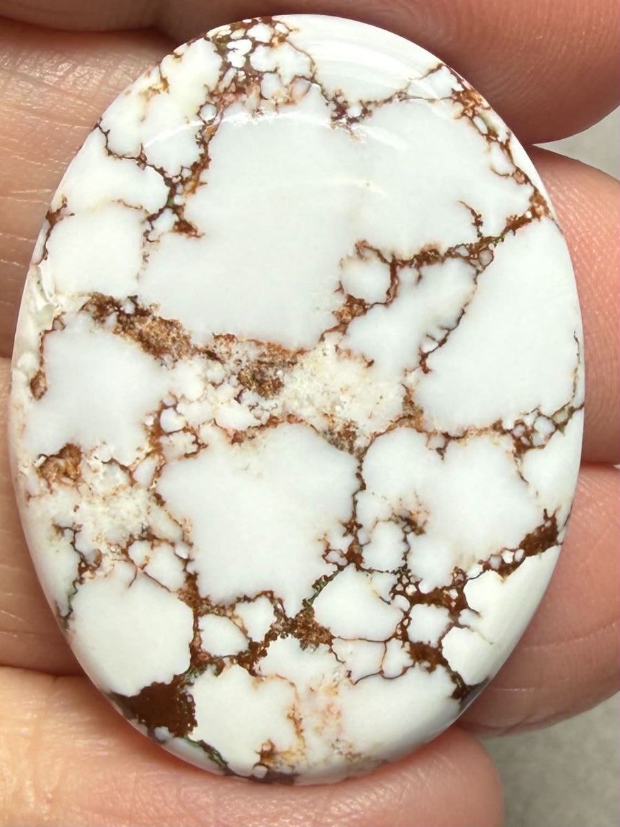 Oval 34x26mm Wild Horse Magnesite Cabochon 56