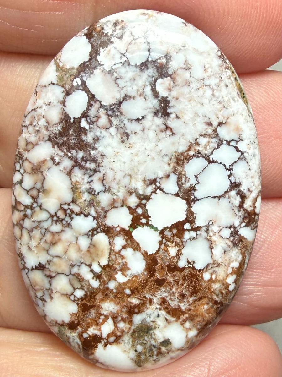 Oval 39x27mm Wild Horse Magnesite Cabochon 58