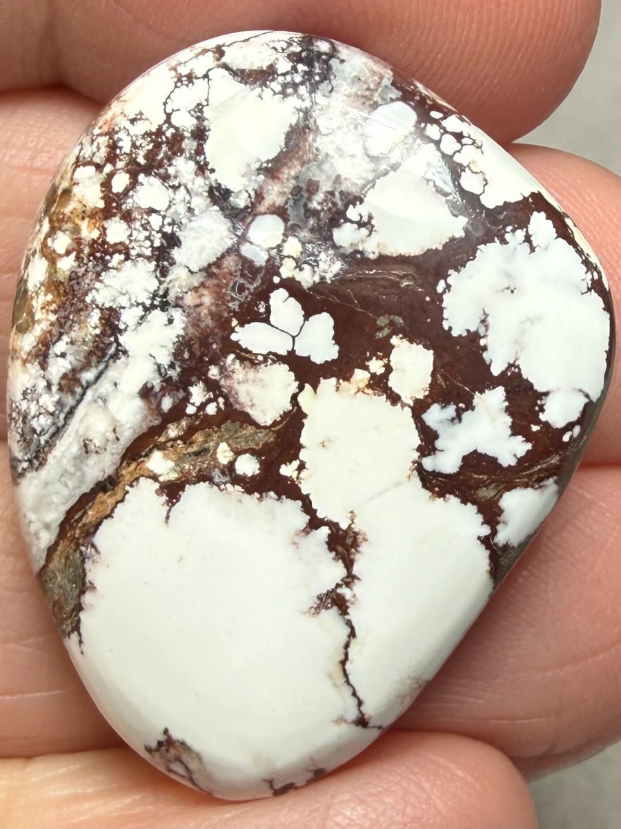 Freeform 32x24mm Wild Horse Magnesite Cabochon 60