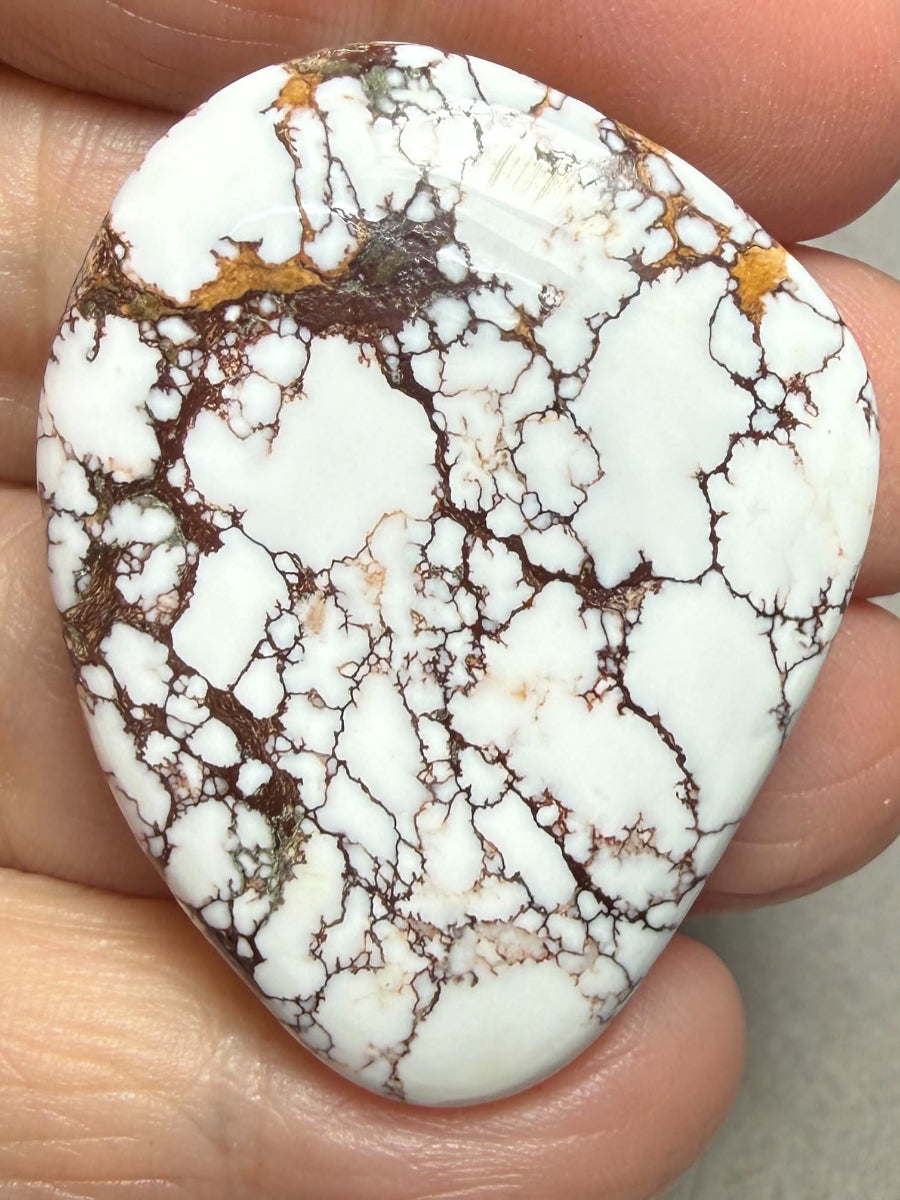 Freeform 41x33mm Wild Horse Magnesite Cabochon 61