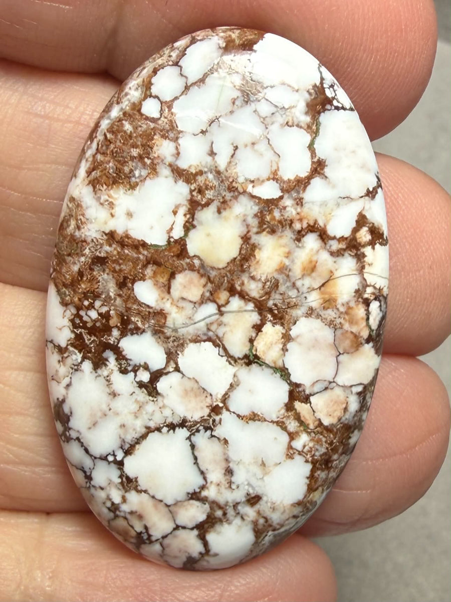 Oval 38x23mm Wild Horse Magnesite Cabochon 62
