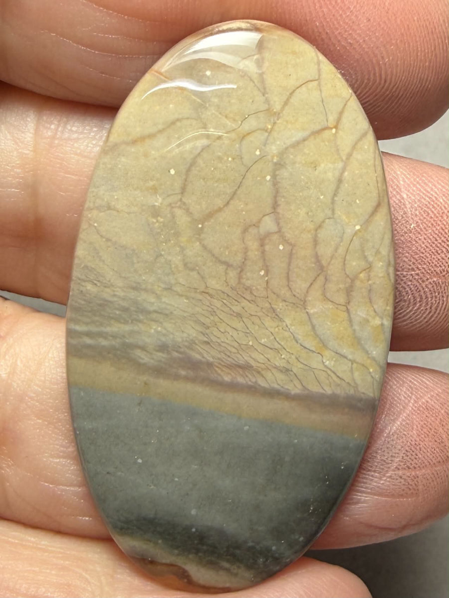 Oval 46x26mm Polychrome Jasper Cabochon 82